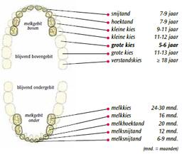 Wissel Schema